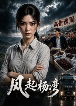 风起杨湾在线观看