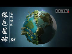 绿色星球:生存攻略