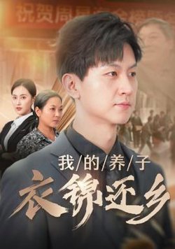 我的养子衣锦还乡高清播放