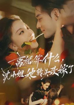 离婚算什么，沈小姐她转头改嫁了高清播放