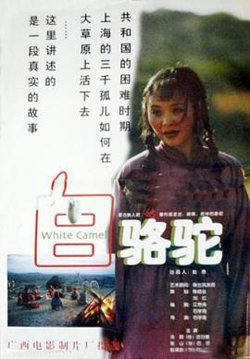 白骆驼高清播放