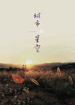 城市的星空高清播放