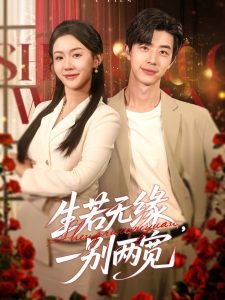 生若无缘，一别两宽高清播放