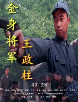 金身将军王政柱高清播放
