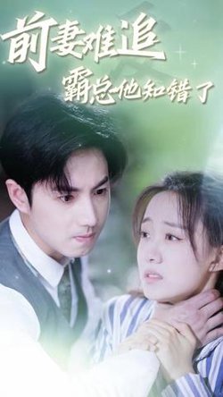 前妻难追，霸总他知错了在线观看