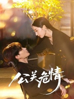 公关危情高清播放
