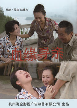 血缘寻亲高清播放