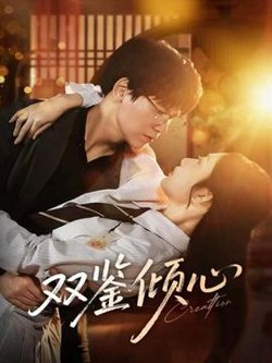 双鉴倾心高清播放