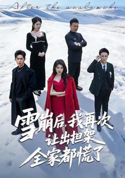 雪崩后，我再次让出担架全家都慌了高清播放