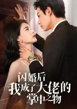 闪婚后我成了大佬的掌中之物在线观看