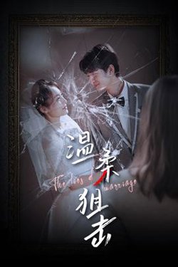 温柔狙击&婚姻迷雾