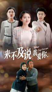 来不及说我爱你短剧在线观看