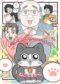 转生成猫的大叔高清播放