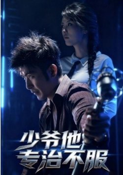 少爷他专治不服高清播放