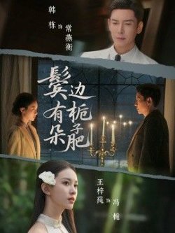 鬓边有朵栀子肥高清播放