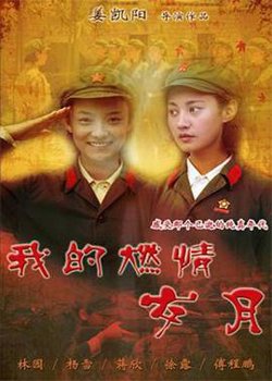 我的燃情岁月在线观看