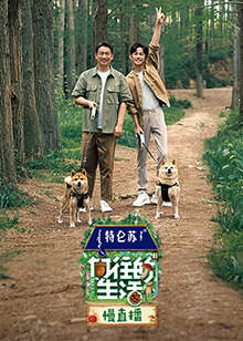 向往的生活第七季慢直播