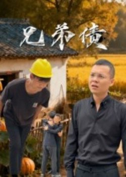 兄弟债高清播放