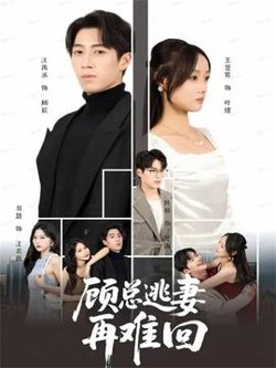 顾总逃妻再难回在线观看