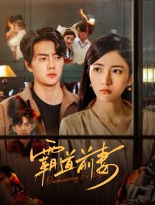 霸道前妻高清播放