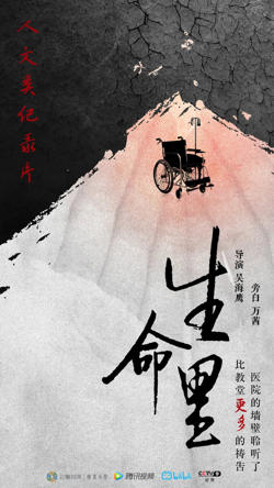 生命里高清播放