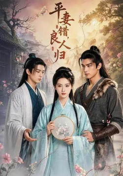 平妻错，良人归在线观看
