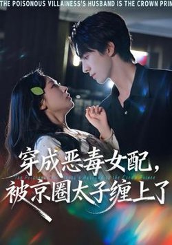 穿成恶毒女配被京圈太子缠上了