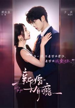 新婚有瘾在线观看