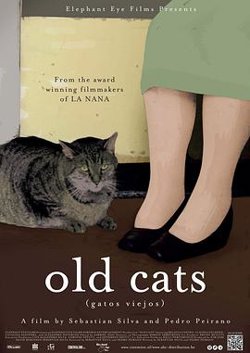 老猫在线观看