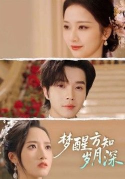 梦醒方知岁月深（梦醒时你在我身侧）在线观看