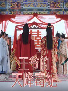 王爷的天降毒妃高清播放