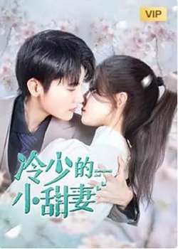 冷少的小甜妻在线观看