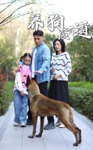 养狗应有道高清播放