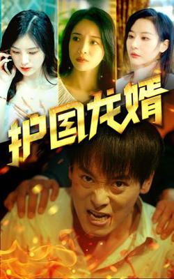 护国龙婿高清播放