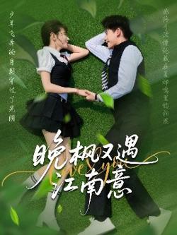 晚枫又遇江南意高清播放