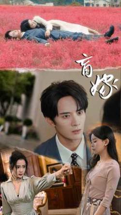 盲嫁在线观看
