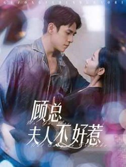 顾总夫人不好惹在线观看