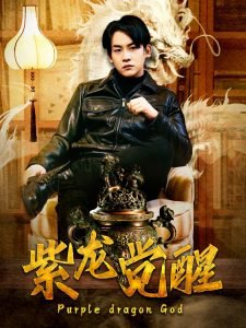 紫龙觉醒高清播放