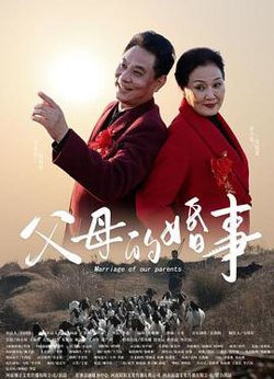 父母的婚事高清播放