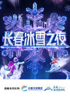 长春冰雪之夜高清播放