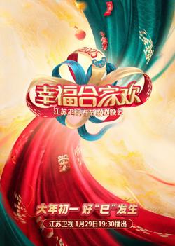 2025江苏卫视ai荔枝春节联欢晚会高清播放