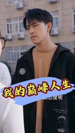 我的巅峰人生高清播放