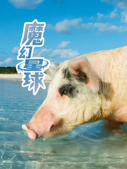 魔幻星球高清播放