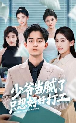 少爷当腻了只想好好打工在线观看