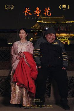 长寿花高清播放
