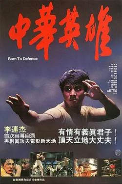中华英雄1988[电影解说]高清播放