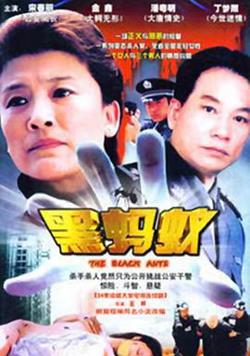 黑蚂蚁高清播放