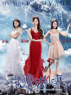 我的魔法仙妻高清播放