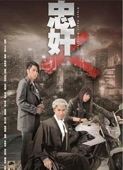 忠奸人国语高清播放