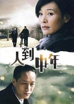 人到中年2009高清播放